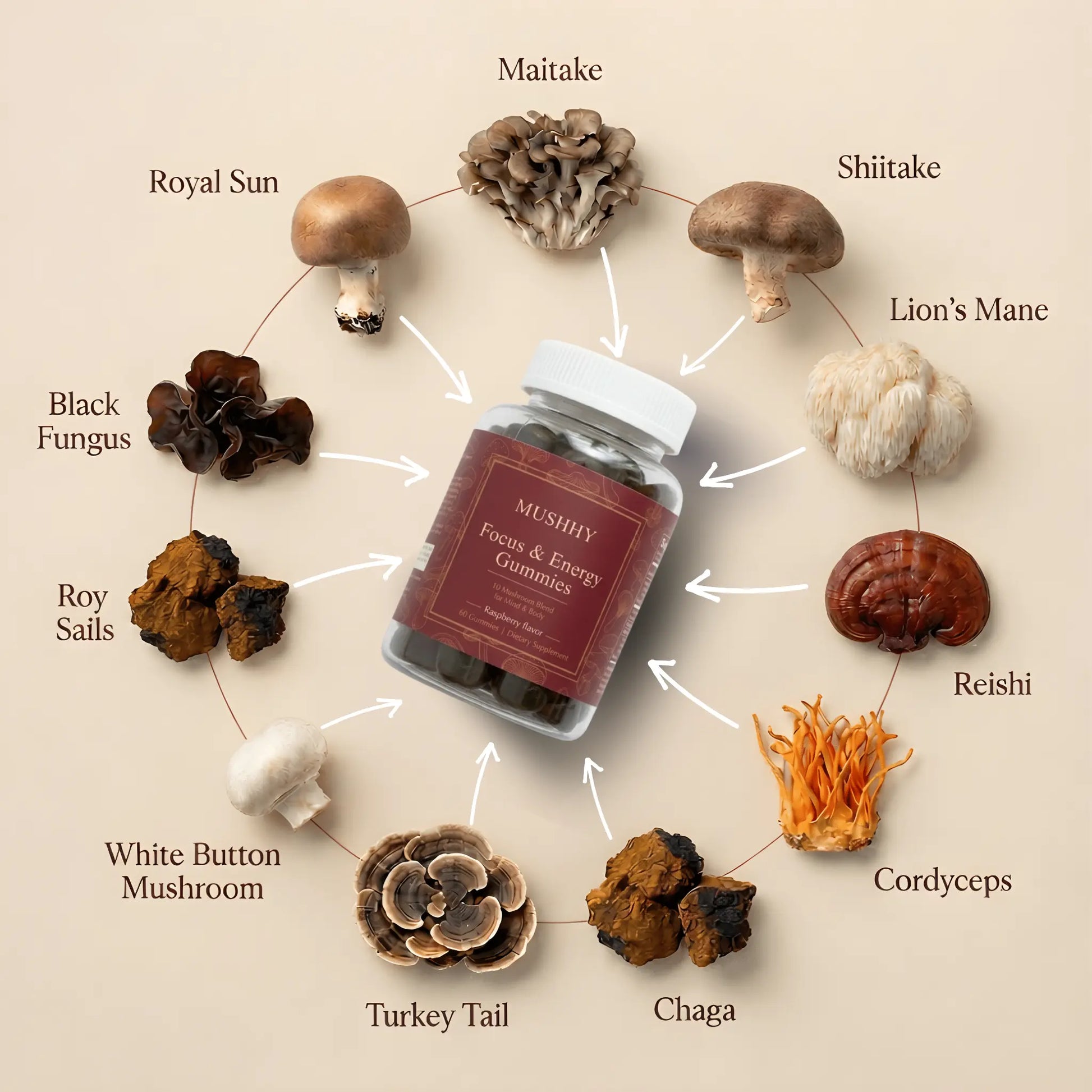 mushroom gummies with turkey tail and chaga ingredients for brain health and immunity support